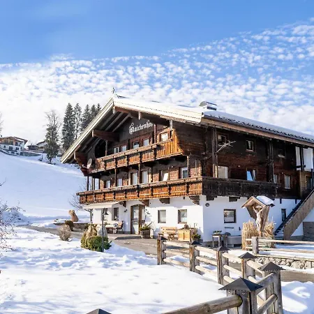 Penningberg 1 Hopfgarten im Brixental